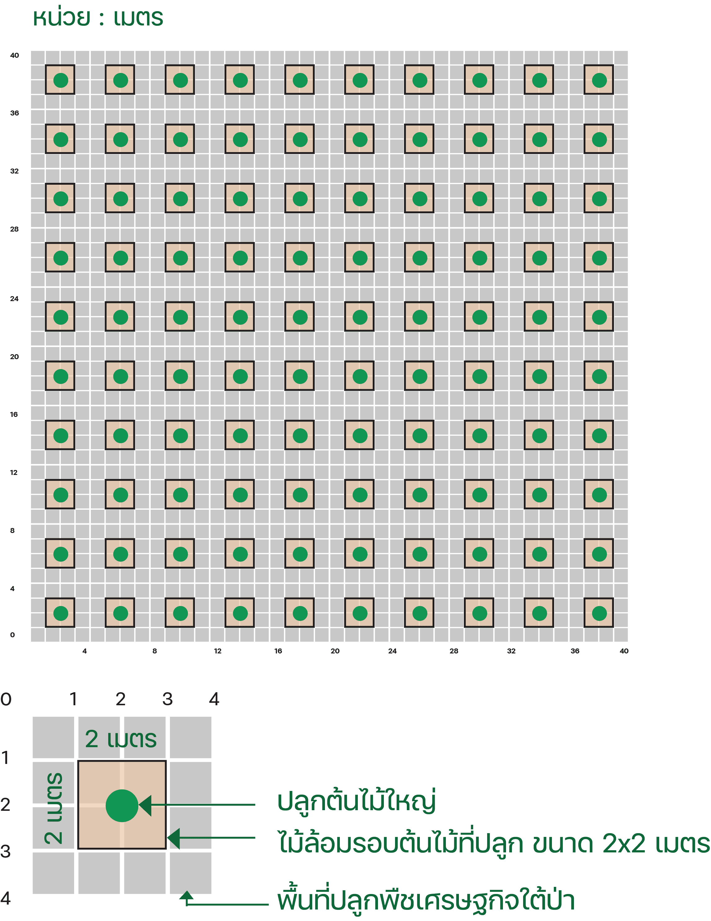 Planting Plot