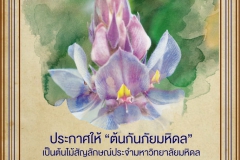 ประชาสัมพันธ์กิจกรรมและโครงการฝ่ายจดหมายเหตุและพิพิธภัณฑ์